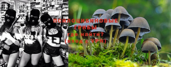 гашишное масло Вяземский
